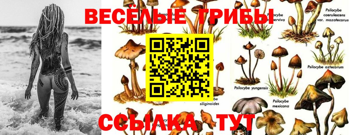 Сургут  Галлюциногенные грибы прущие грибы  Вход с VPN 